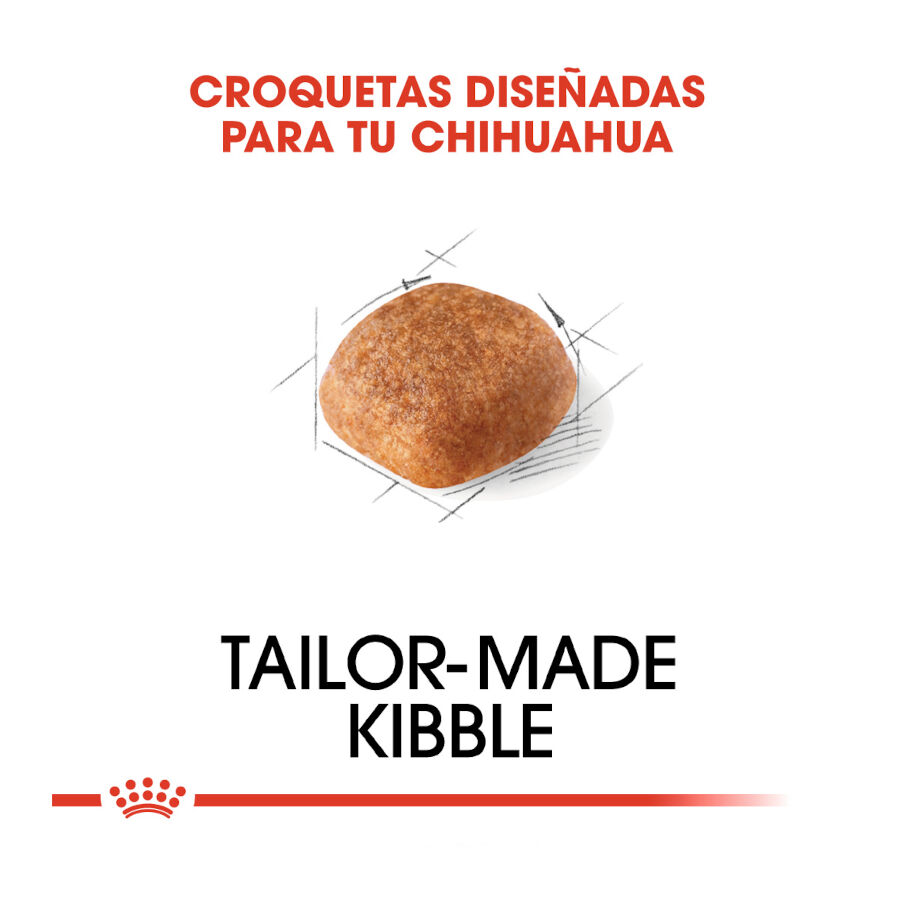 500 g Royal Canin Adult Chihuahua ra&ccedil;&atilde;o para c&atilde;es, , large Imagem n&uacute;mero 5