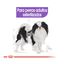 Royal Canin X-Small Sterilised ração para cães, , large Indicador imagem número 5