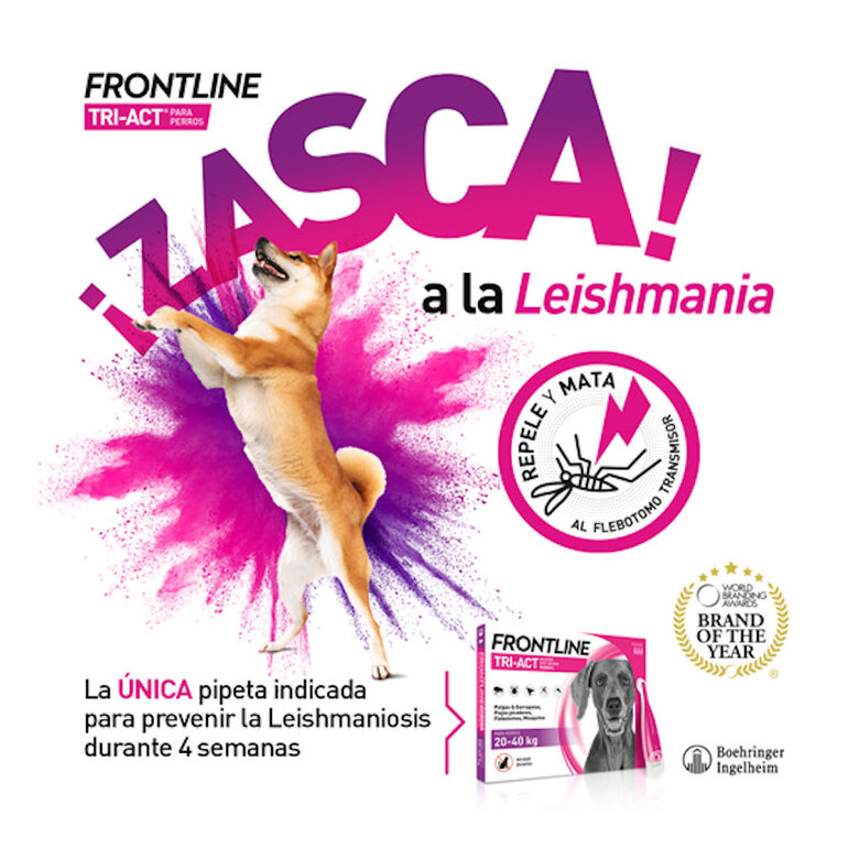 Frontline Tri-Act Pipetas antiparasitárias para cães 40 - 60 kg, , large image number null