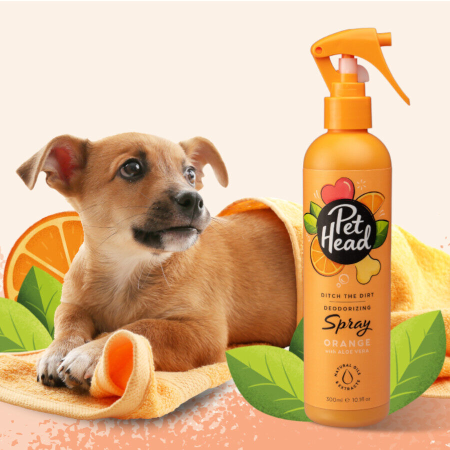 Pet Head Spray Perfume laranja para c&atilde;es 300ml, , large Imagem n&uacute;mero 2