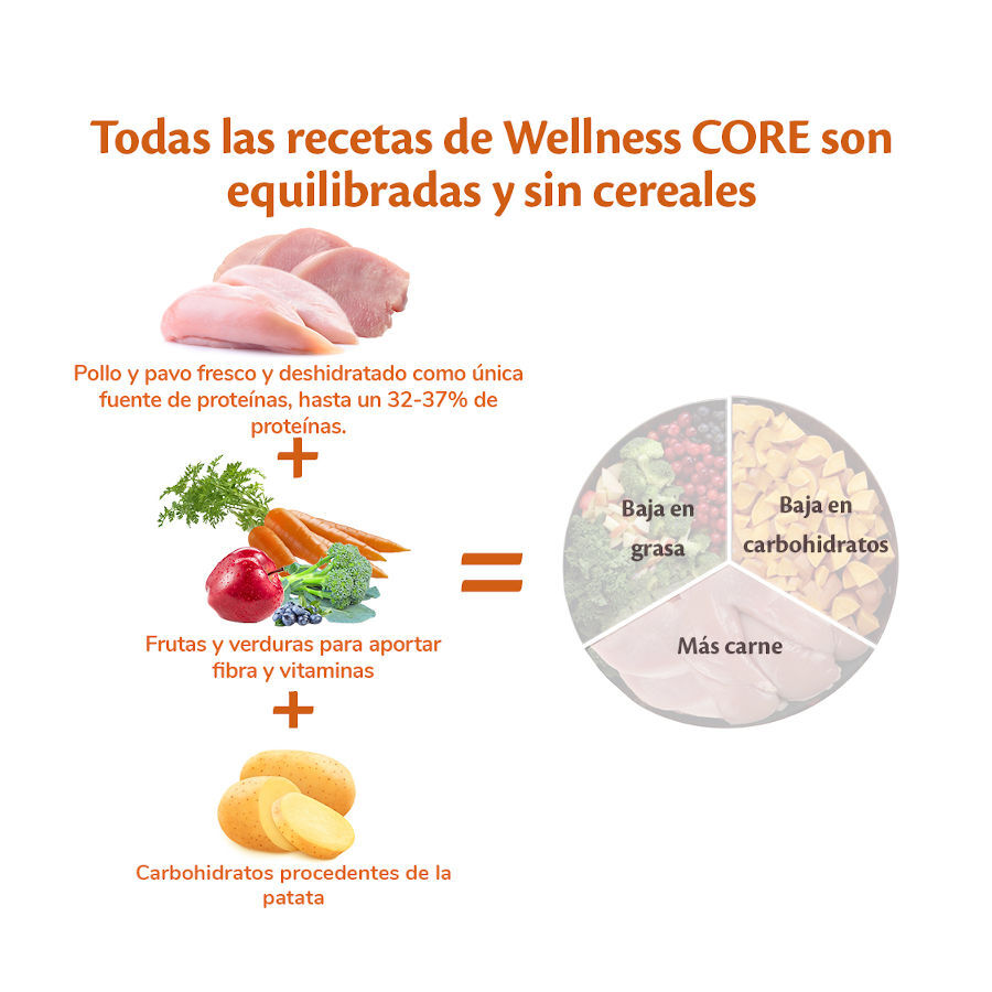 10 kg Wellness Core Adult Medium/Large Healthy Peru ra&ccedil;&atilde;o para c&atilde;es , , large Imagem n&uacute;mero 4