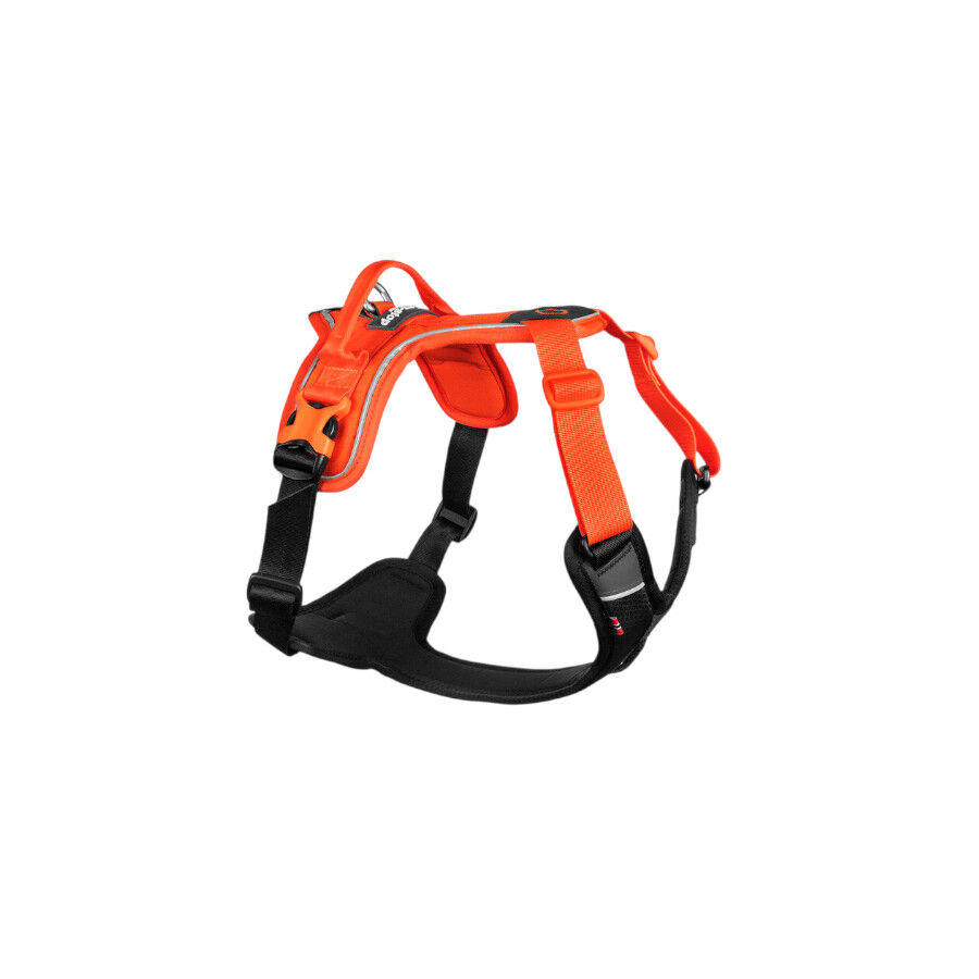 Non-stop dogwear Ramble Harness Peitoral Laranja para c&atilde;es, , large Imagem n&uacute;mero 1