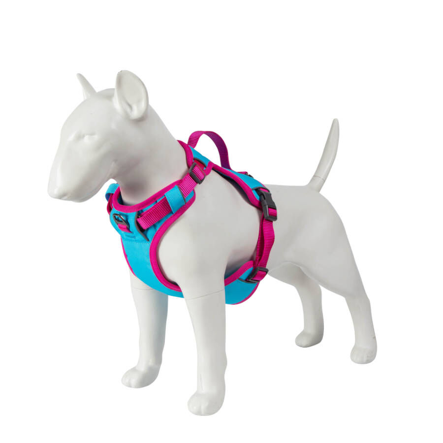 Freedog Cool Pro Tech Peitoral Desportivo F&uacute;scia para c&atilde;es, , large Imagem n&uacute;mero 11