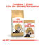 10 kg Royal Canin Persa ração para gatos adultos, , large Indicador imagem número 3