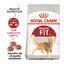 2 kg Royal Canin Regular Fit 32 ração para gatos, , large Indicador imagem número 2