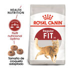 Royal Canin Regular Fit 32 ração para gatos , , large image number null