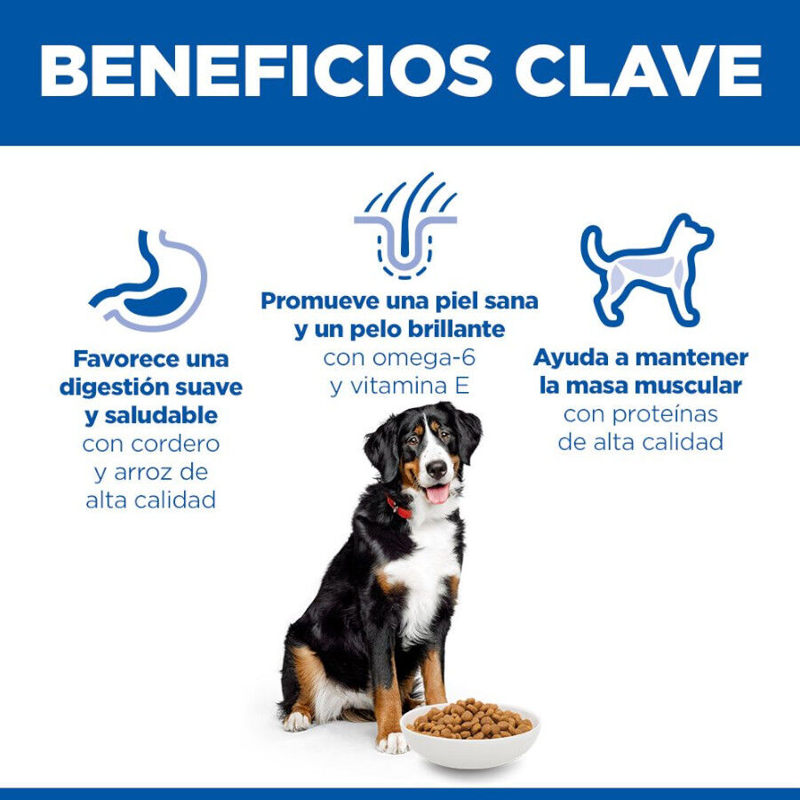 14 kg Hill's Science Plan Adult Large Cordeiro ra&ccedil;&atilde;o para c&atilde;es, , large Imagem n&uacute;mero 5