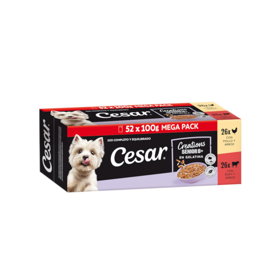 52 saquetas x 100 g Cesar Mistura de Carnes Geleia em Saquinho para C&atilde;es S&eacute;nior 8+ - Multipack, , large Imagem n&uacute;mero 1