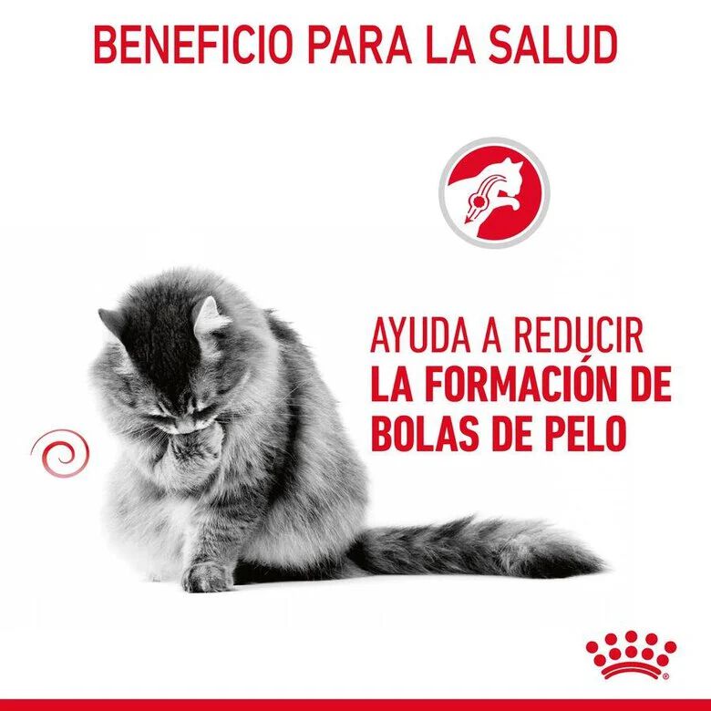 85 g Royal Canin Hairball alimento h&uacute;mido em molho saquetas para gatos, , large Imagem n&uacute;mero 4