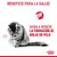 85 g Royal Canin Hairball alimento húmido em molho saquetas para gatos, , large Indicador imagem número 4