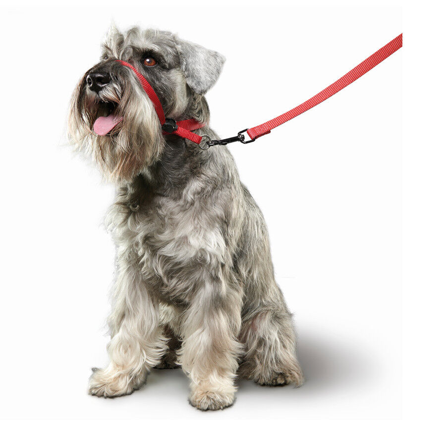 Beaphar Gentle Leader A&ccedil;aime vermelho para c&atilde;es, , large Imagem n&uacute;mero 2