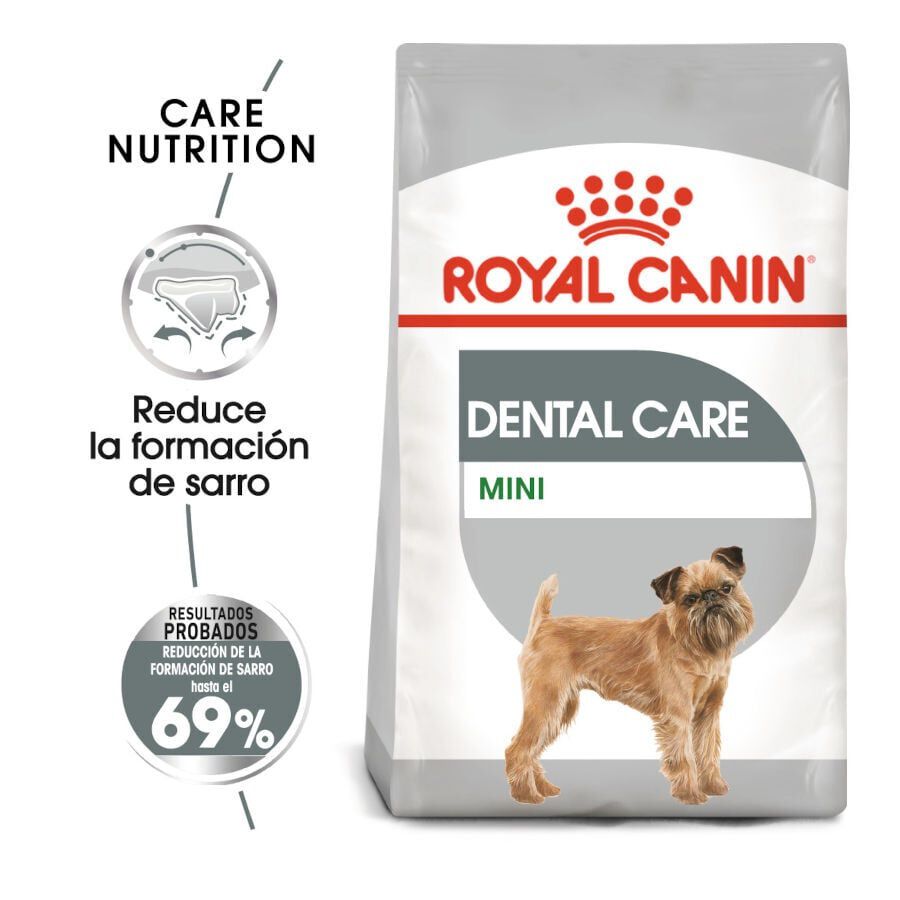 3 kg Royal Canin Mini Dental Care ra&ccedil;&atilde;o para c&atilde;es, , large Imagem n&uacute;mero 2