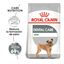 3 kg Royal Canin Mini Dental Care ração para cães, , large Indicador imagem número 2
