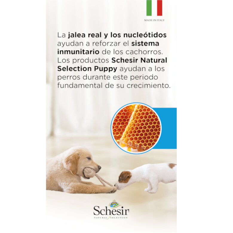 Schesir Puppy Natural Selection Cordeiro pienso , , large image number null