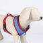 DC Comics Super Pets Peitoral estampado para cães, , large Indicador imagem número 2
