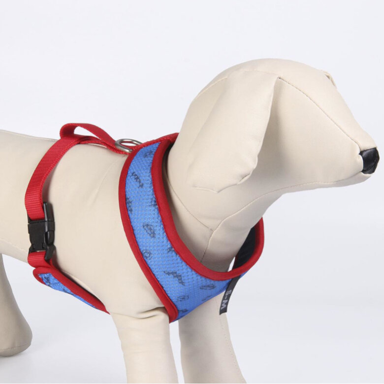 DC Comics Super Pets Peitoral estampado para cães,  Imagem número 2 DC Comics Super Pets Peitoral estampado para cães, , large Imagem número 2