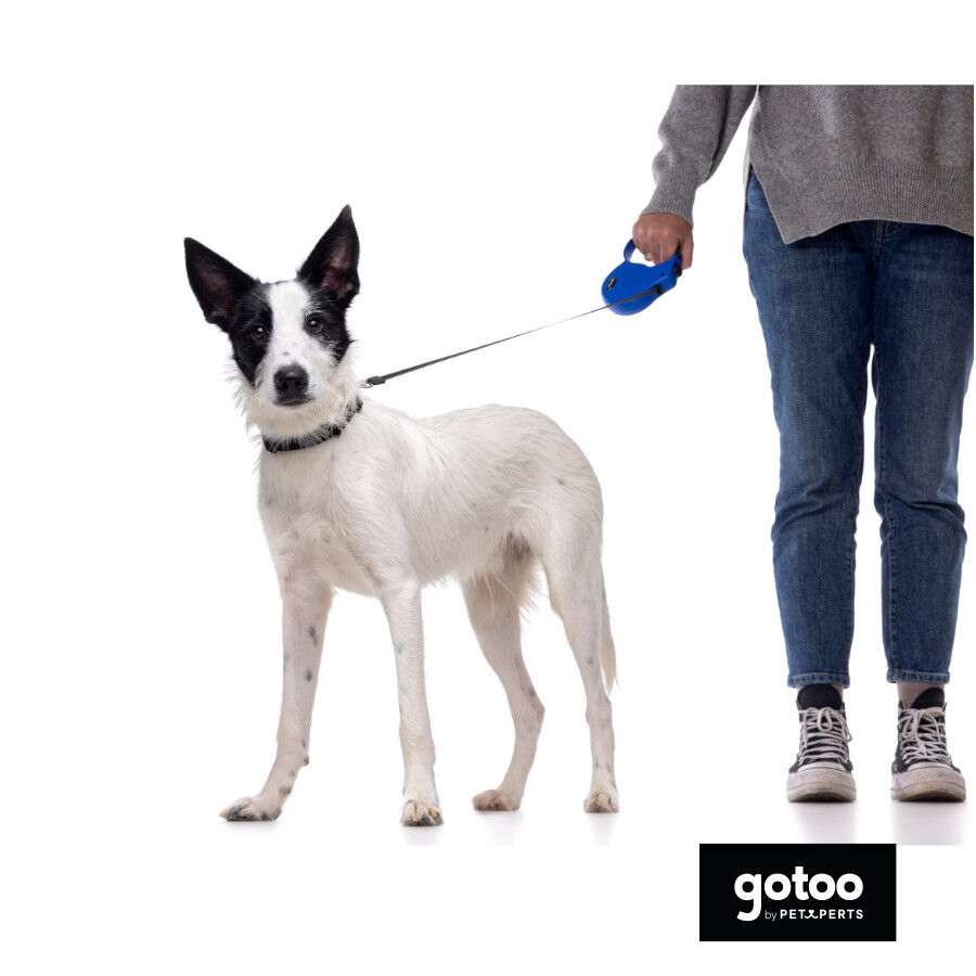 Gotoo Coleira de nylon preta para c&atilde;es, , large Imagem n&uacute;mero 4