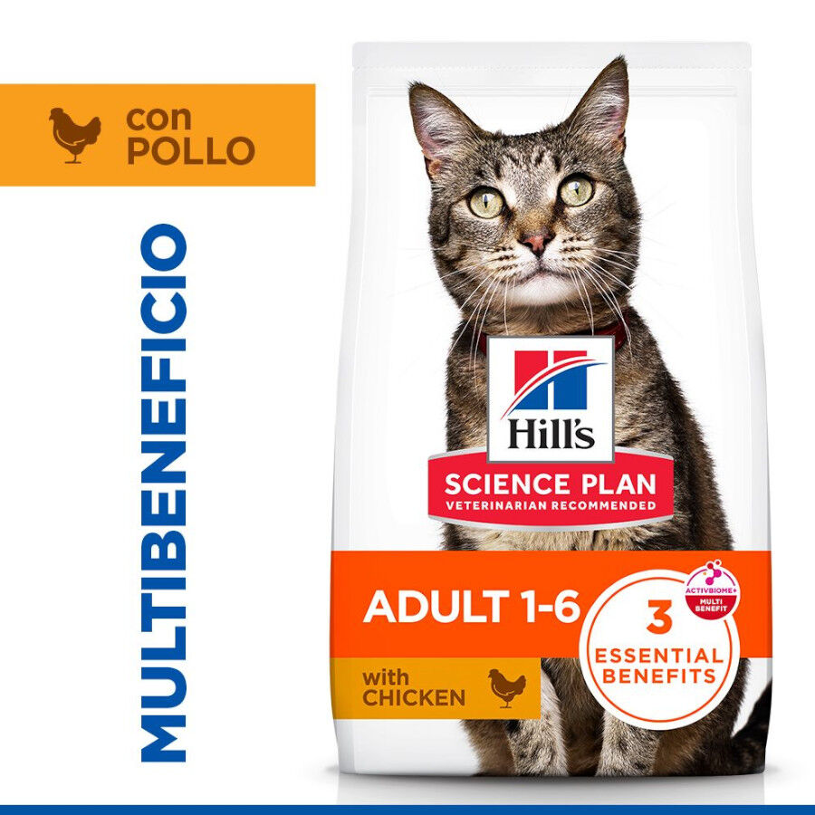 10 kg Hill's Adult Science Plan Frango ra&ccedil;&atilde;o para gatos, , large Imagem n&uacute;mero 2