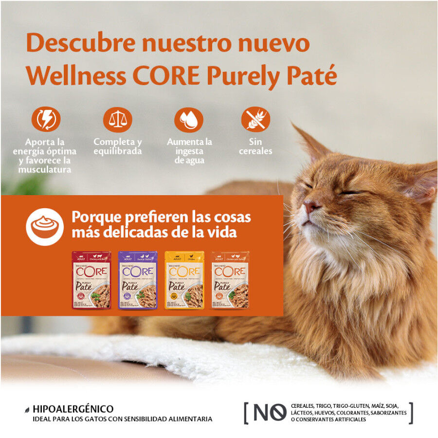 85 g Wellness Core Adult Frango e Peru em Pat&ecirc; saqueta para gatos, , large Imagem n&uacute;mero 4