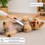 Bloob Pente para pulgas para c&atilde;es, , large Indicador imagem n&uacute;mero 8