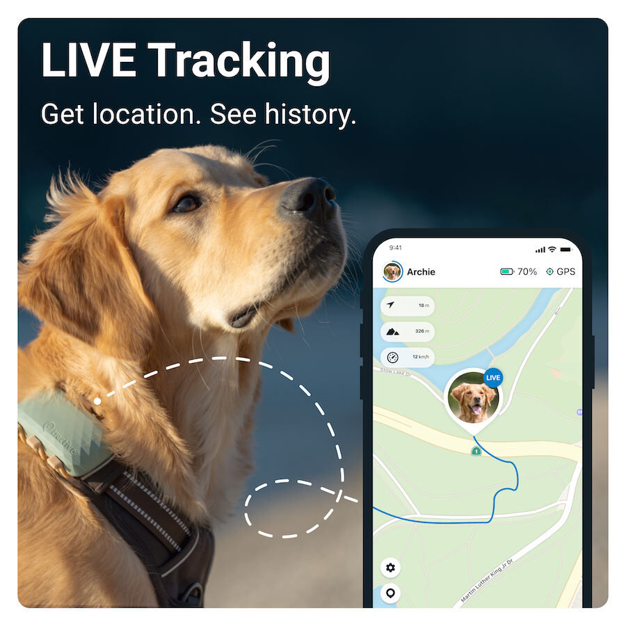 Iberoluso Tractive GPS Localizador XL para c&atilde;es, , large Imagem n&uacute;mero 2