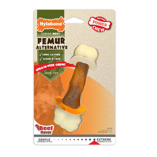 Nylabone Femur Alternative osso mordedor de goma para cães
