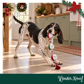 Wonder Christmas Corda e Guizo Brinquedo para c&atilde;es