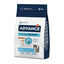 10 kg Advance Active Defense Frango e Arroz ração para gatinhos, , large Indicador imagem número 1