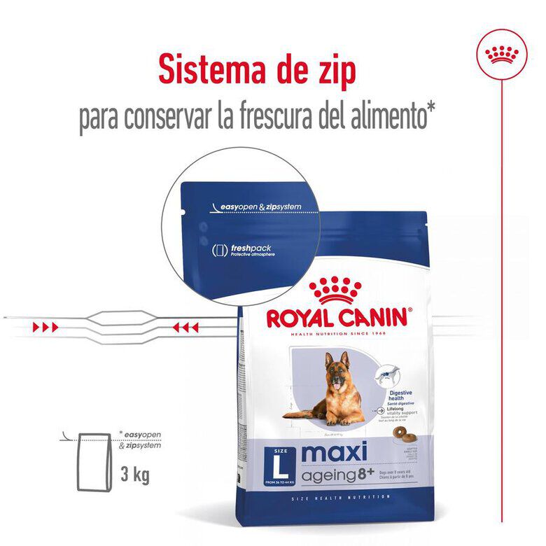 15 kg Royal Canin Maxi Ageing 8+ ra&ccedil;&atilde;o para c&atilde;es, , large Imagem n&uacute;mero 4