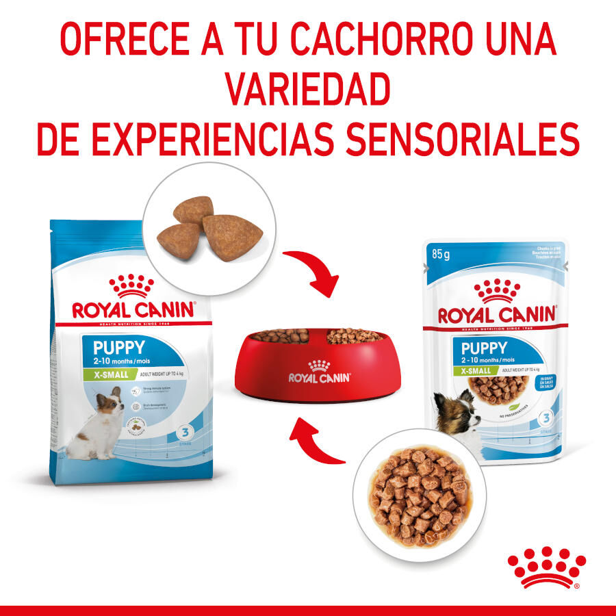 85 g Royal Canin X-Small Puppy Bocaditos em molho saqueta para cachorros, , large Imagem n&uacute;mero 7