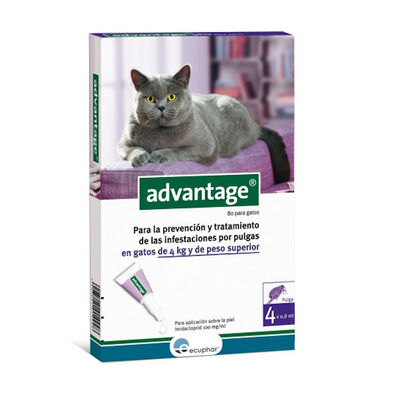 Advantage pipetas antiparasitárias para gatos - Pack 4
