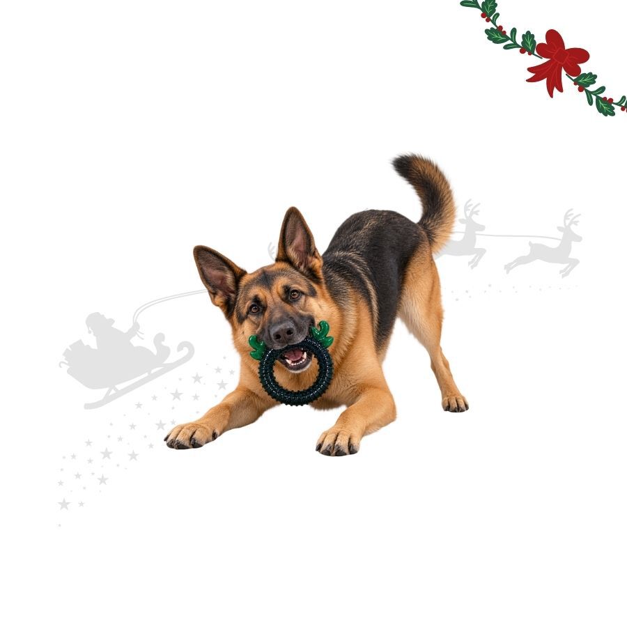 Wonder Christmas Aro de Rena Brinquedo para c&atilde;es, , large Imagem n&uacute;mero 1
