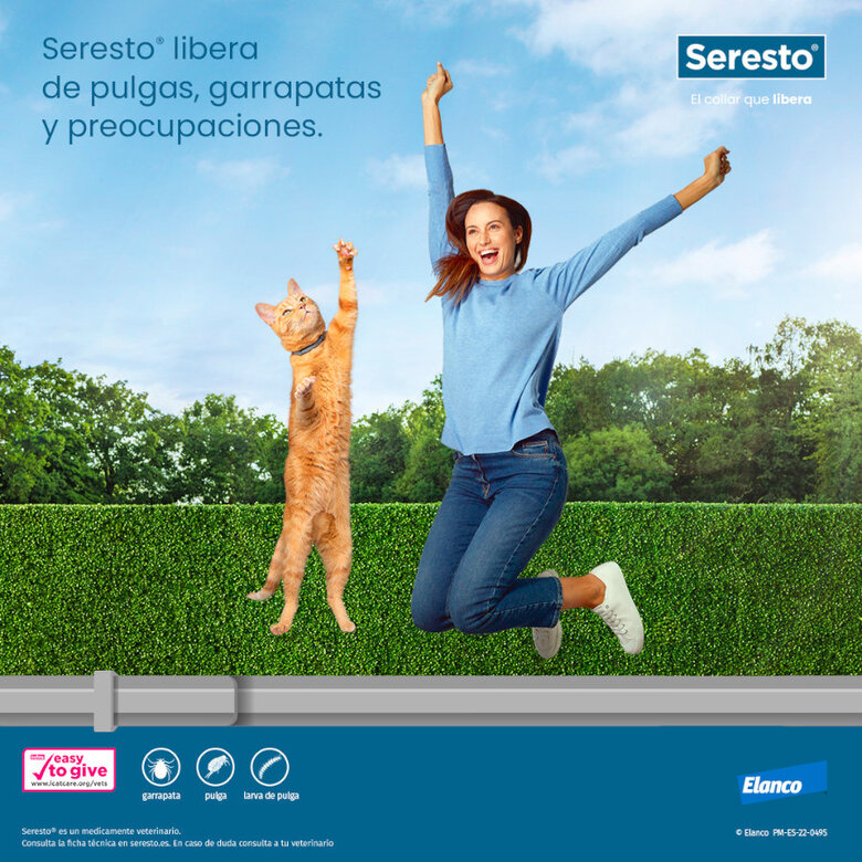 Seresto Coleira Antiparasitária para gatos, , large image number null