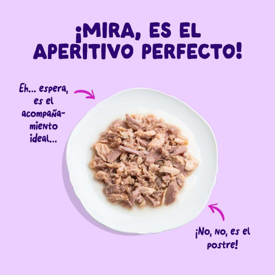 70 g Edgard & Cooper Filetes de Salm&oacute;n y At&uacute;n Lata para gatos, , large Imagem n&uacute;mero 3