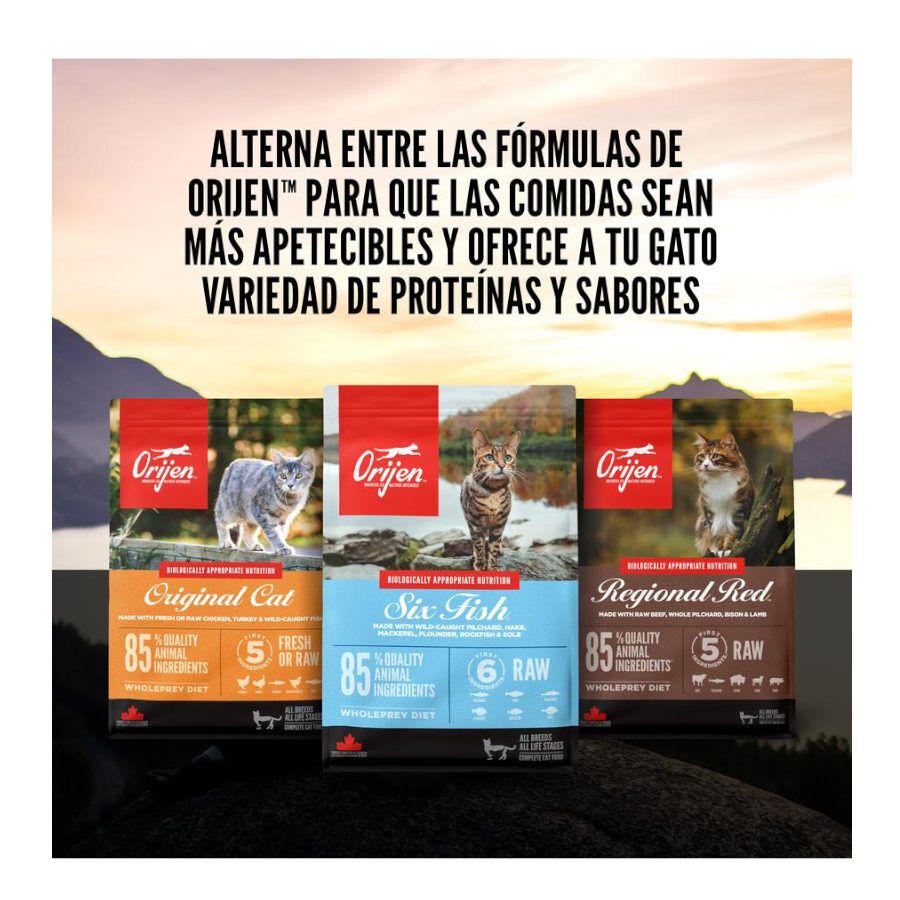 5.4 kg Orijen Original ra&ccedil;&atilde;o para gatos e gatinhos, , large Imagem n&uacute;mero 9