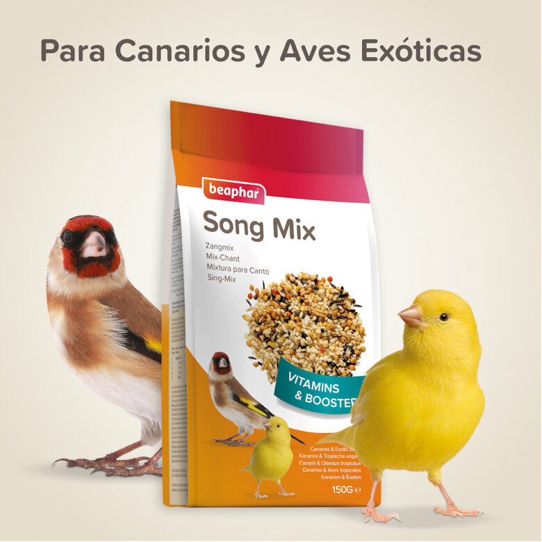 Beaphar Estimulante de canto para pássaros,  Imagem número 5 Beaphar Estimulante de canto para pássaros, , large Imagem número 5