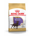 Royal Canin Adult Labrador Sterilised ração para cães, , large image number null