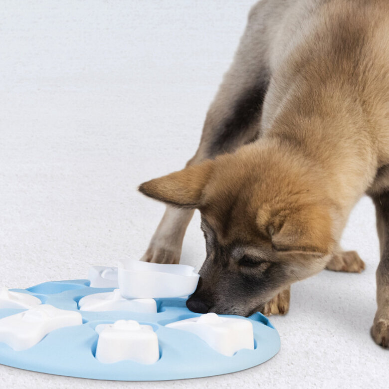 Outward Hound Puppy Smart Puzzle para cachorros,  Imagem número 3 Outward Hound Puppy Smart Puzzle para cachorros, , large Imagem número 3