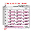 Royal Canin Early Renal ração para gatos, , large image number null