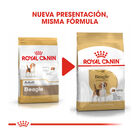 Royal Canin Adult Beagle ração para cães, , large image number null