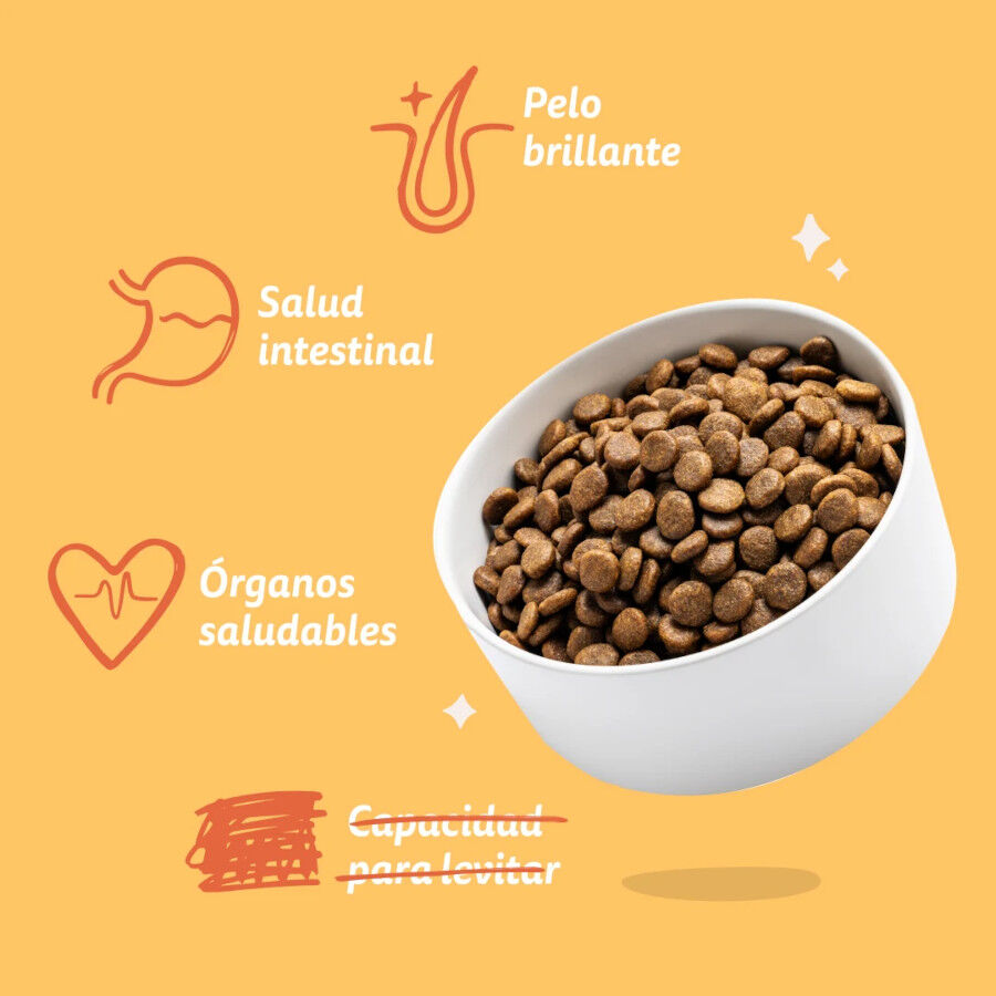 3 kg Edgard & Cooper Pienso Pollo para perros adultos mini, , large Imagem n&uacute;mero 5