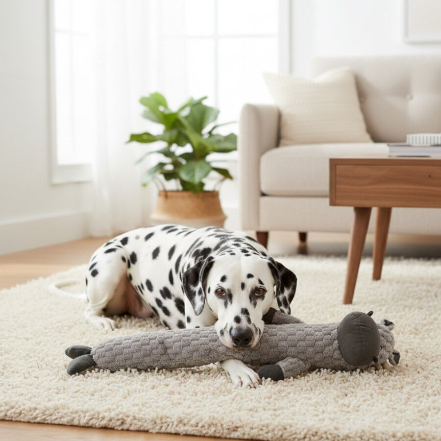 Tootoy! Comfort Peluche Hippo Toy para c&atilde;es, , large Imagem n&uacute;mero 1