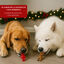 2 uds. Wonder Christmas Snacks Reno & Santa Navideños para perros, , large Indicador imagem número 4