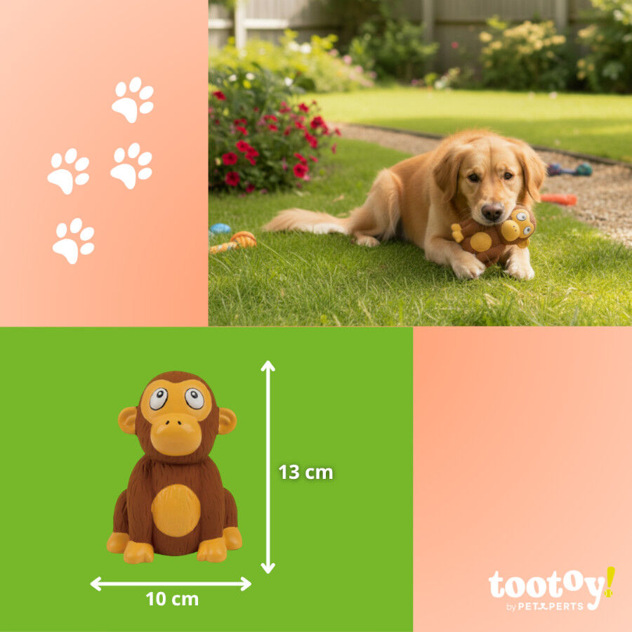 Tootoy! Chew Mordedor Macaquinho Chimpanz&eacute; para c&atilde;es, , large Imagem n&uacute;mero 4