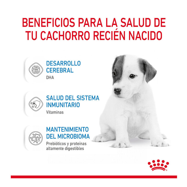 400 g Royal Canin Leite para o primeiro ano de cachorros,  Imagem número 6 400 g Royal Canin Leite para o primeiro ano de cachorros, , large Imagem número 6