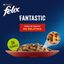 12 saquetas x 85 g Felix Seleção de carnes em gelatina - Multipack, , large Indicador imagem número 2