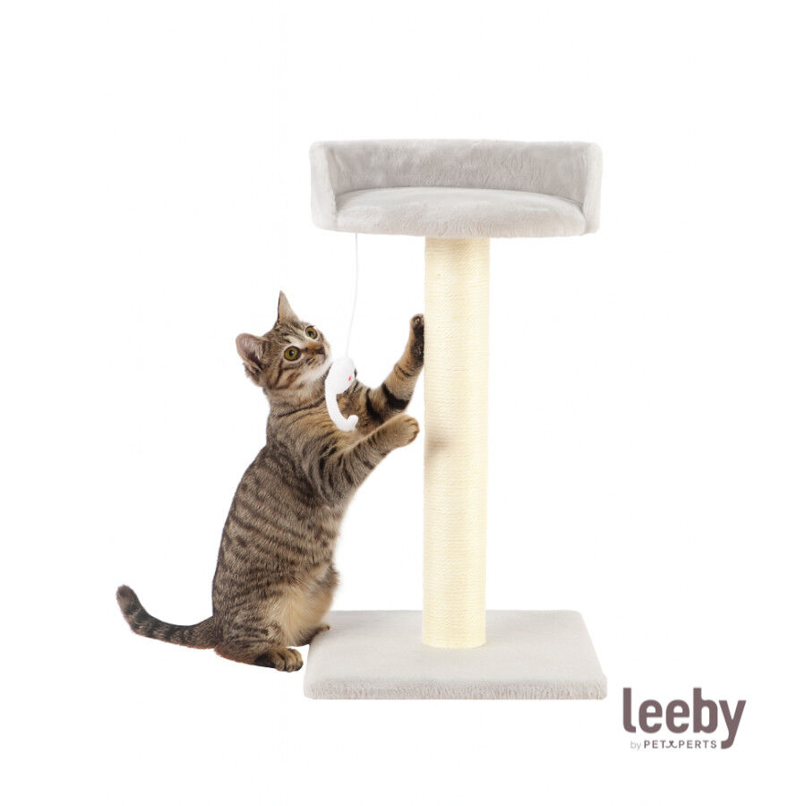 Leeby Tigrou arranhador com cama e brinquedo cinzento para gatos, , large Imagem n&uacute;mero 2
