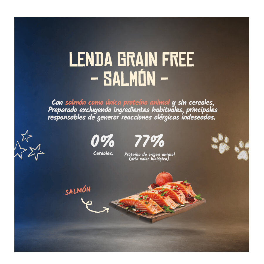 2 Kg Lenda Grain Free Ra&ccedil;&atilde;o de Salm&atilde;o para c&atilde;es, , large Imagem n&uacute;mero 2