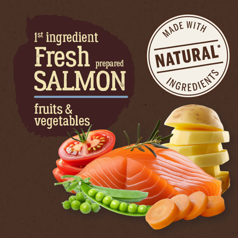 3 kg True Origins Pure Grain Free Adult Mini Salmão ração para cães,  Imagem número 2 3 kg True Origins Pure Grain Free Adult Mini Salmão ração para cães, , large Imagem número 2