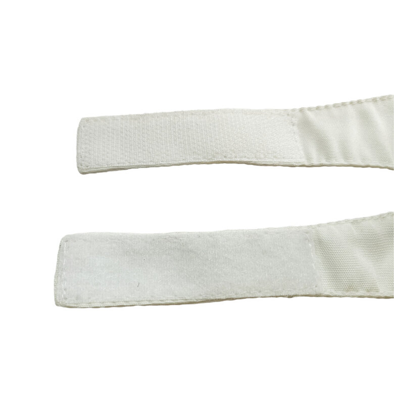 Gotoo Laço vermelho para cães,  Imagem número 5 Gotoo Laço vermelho para cães, , large Imagem número 5